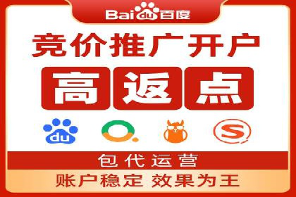 百度推广返点攻略：成功案例分享与启示